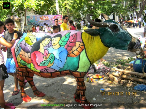 Carabao Painting 2012 | Karbo Festival of Vigan