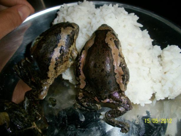 Exotic Vigan Food | Edmar is Certified Frog-Eater in 15 minutes